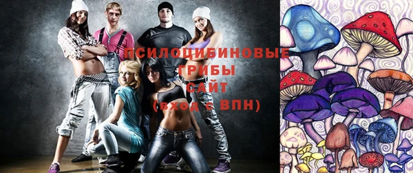 2c-b Арсеньев