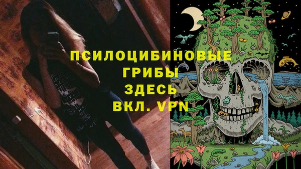 2c-b Арсеньев