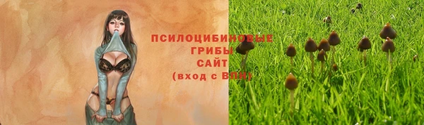 2c-b Арсеньев