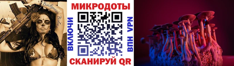 наркота Тайшет Псилоцибиновые грибы Psilocybine cubensis
